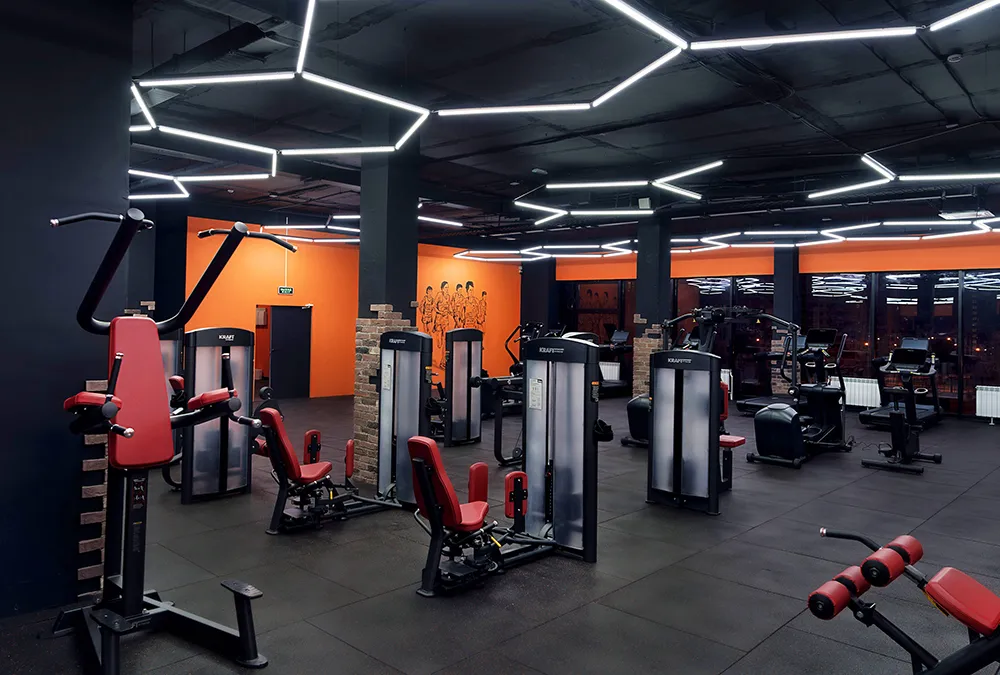 Каталог профессиональных спортивных тренажеров