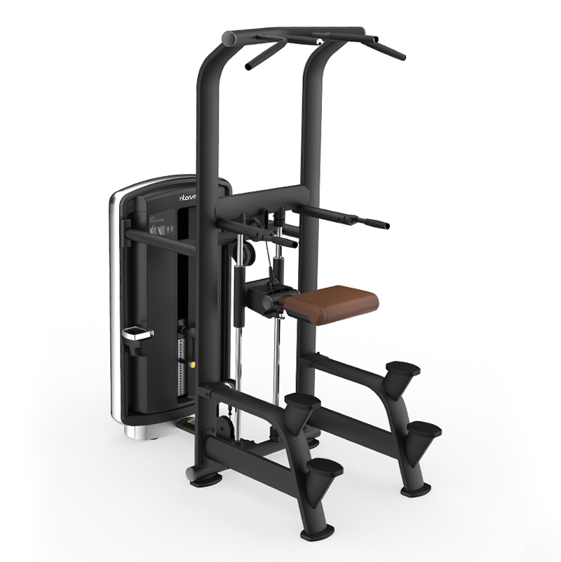 Силовой тренажер INTENZA Подтягивание/Отжимание с помощью DL-12